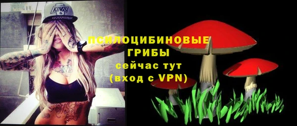 спиды Абаза