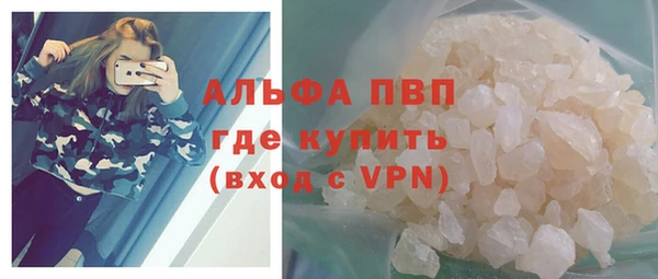 эйфоретик Алзамай