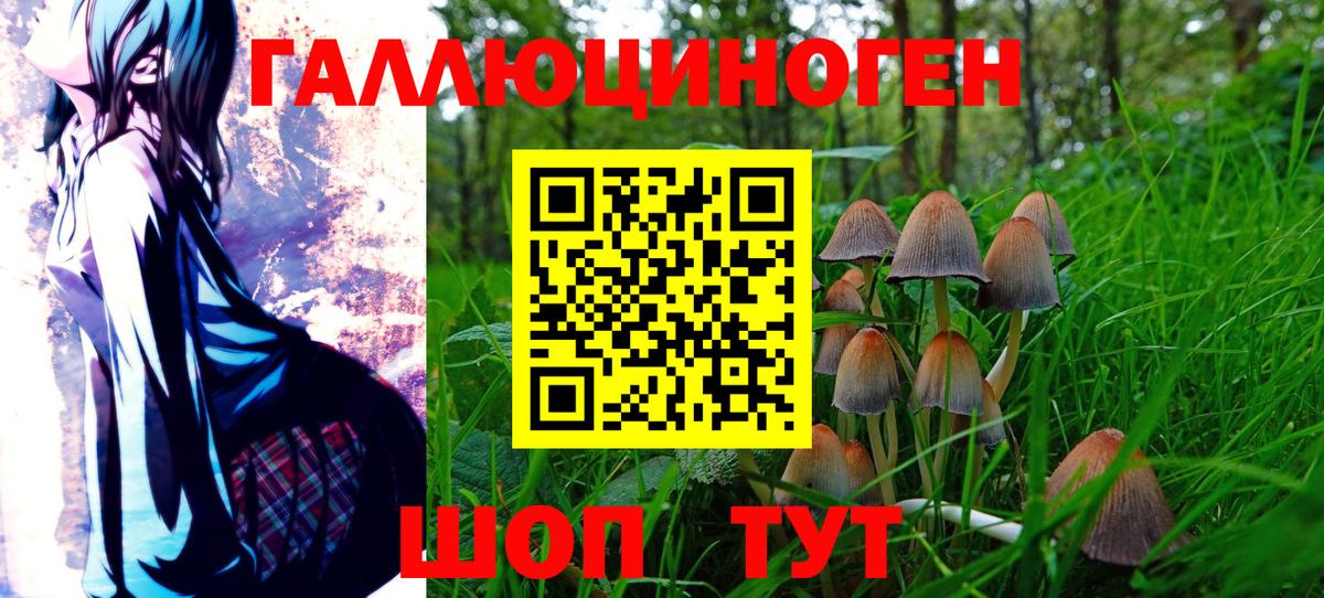 Псилоцибиновые грибы мицелий Уварово