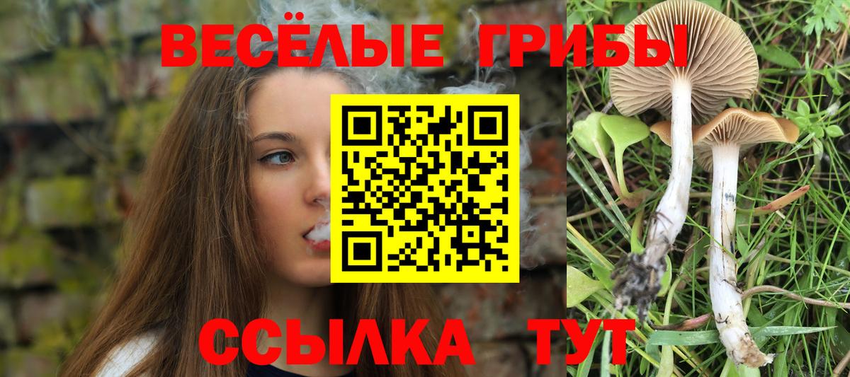 Галлюциногенные грибы Psilocybine cubensis  Псилоцибиновые грибы GOLDEN TEACHER  Вход с VPN  Уварово 